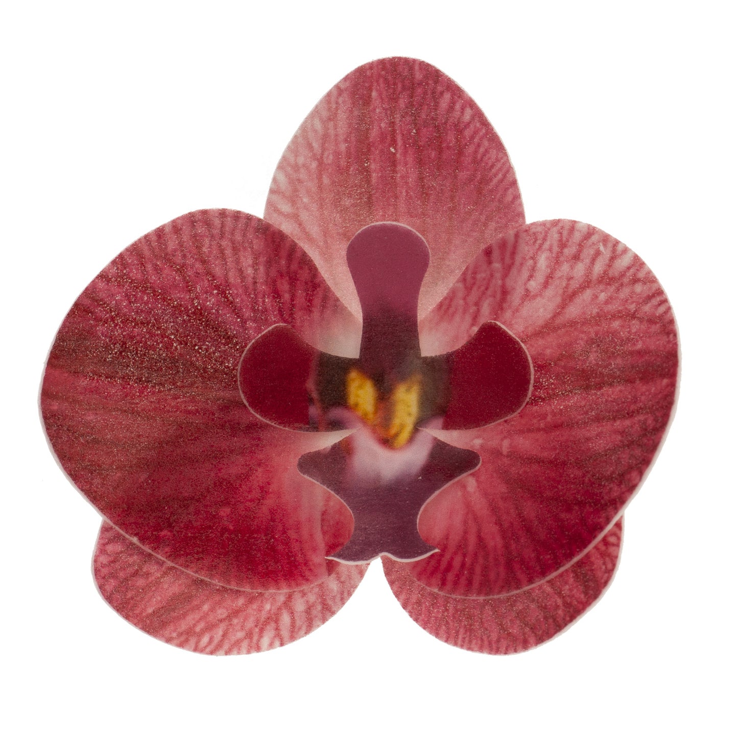 DECORACIÓN OBLEA COMESTIBLE 10 ORQUÍDEAS 8,5-7,5 CM