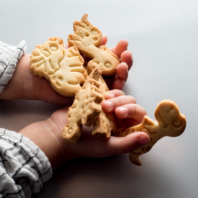 CORTADORES PARA GALLETAS DE DINOSAURIOS - 2 UD