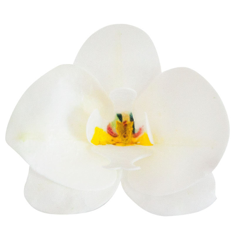 DECORACIÓN OBLEA COMESTIBLE 10 ORQUÍDEAS 8,5-7,5 CM