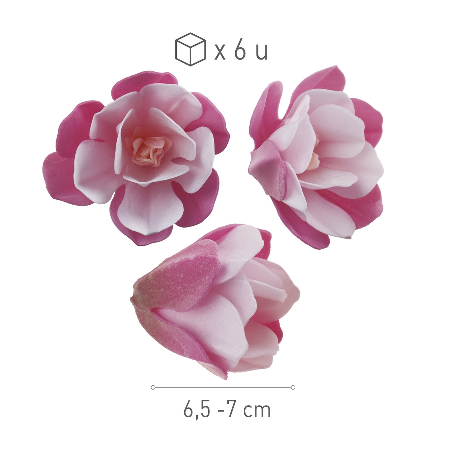 MAGNOLIAS DE OBLEA ROSA 5-7 CM 6 UD