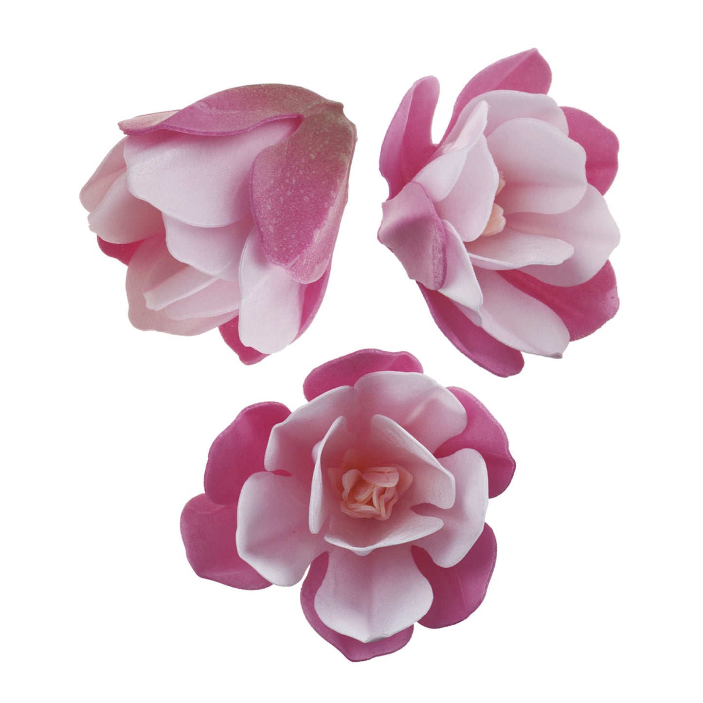 MAGNOLIAS DE OBLEA ROSA 5-7 CM 6 UD
