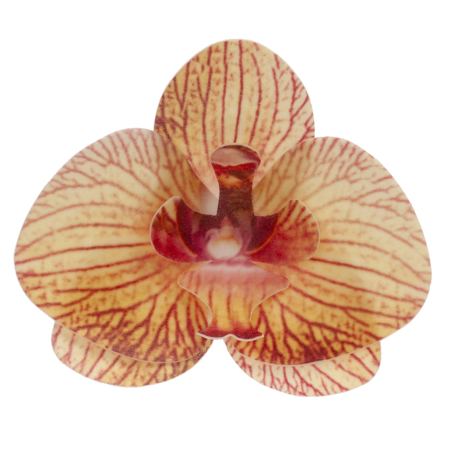 DECORACIÓN OBLEA COMESTIBLE 10 ORQUÍDEAS 8,5-7,5 CM