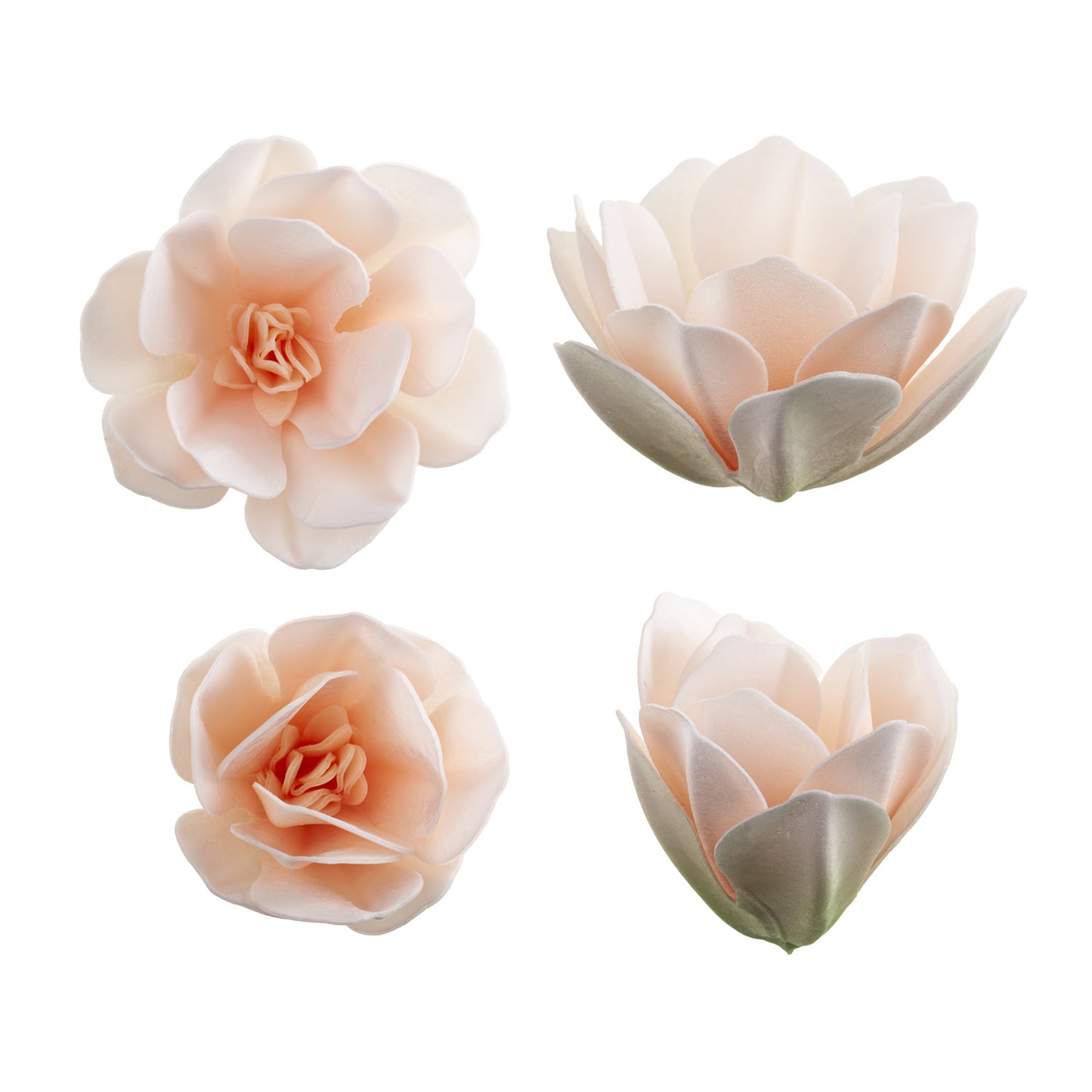 MAGNOLIAS DE OBLEA BLANCAS 5-7 CM 6 UD