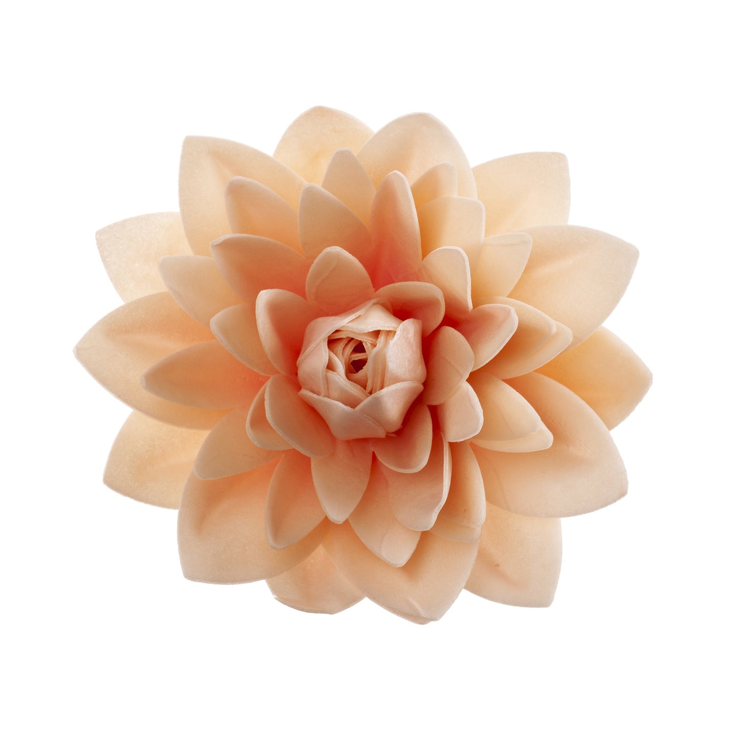DALIA GIGANTE DE OBLEA COLOR PASTEL 12,5 CM