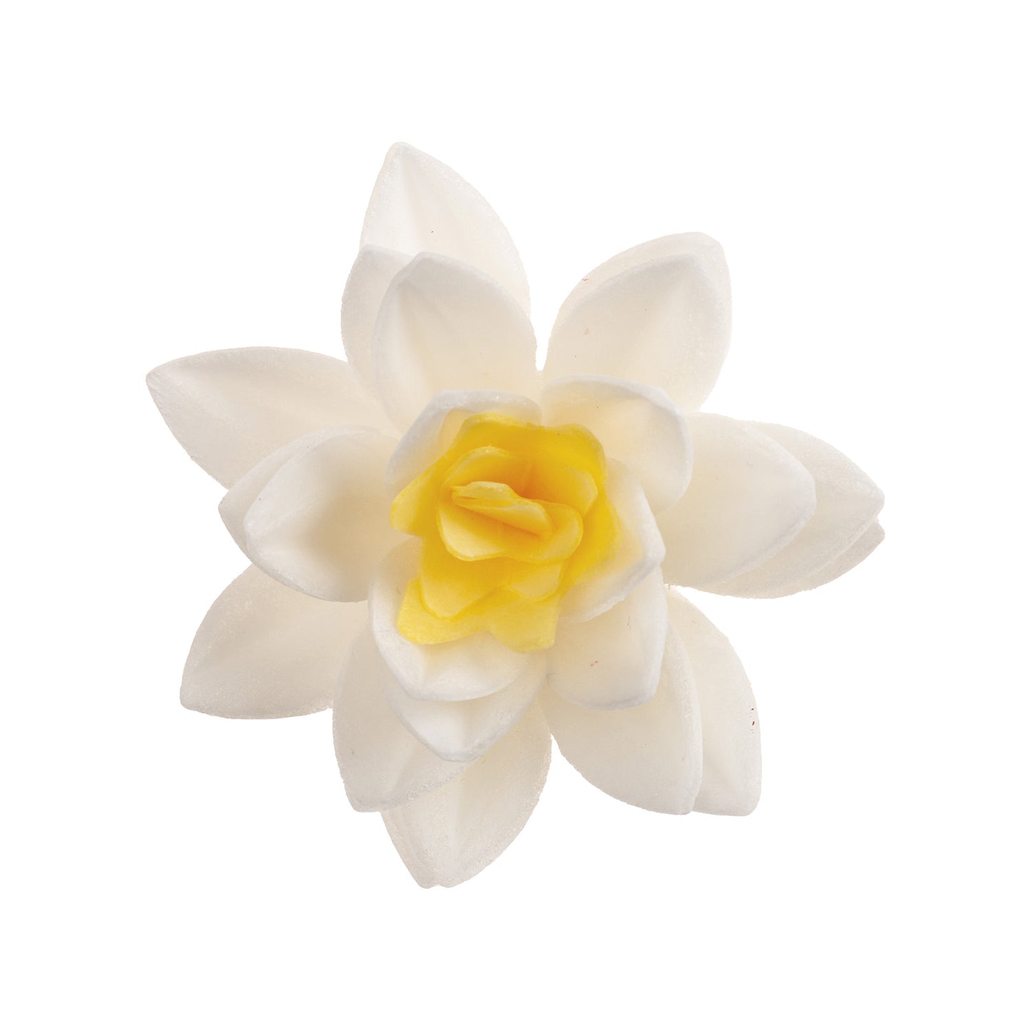 FLOR DE OBLEA BLANCA 7 CM 10 UD