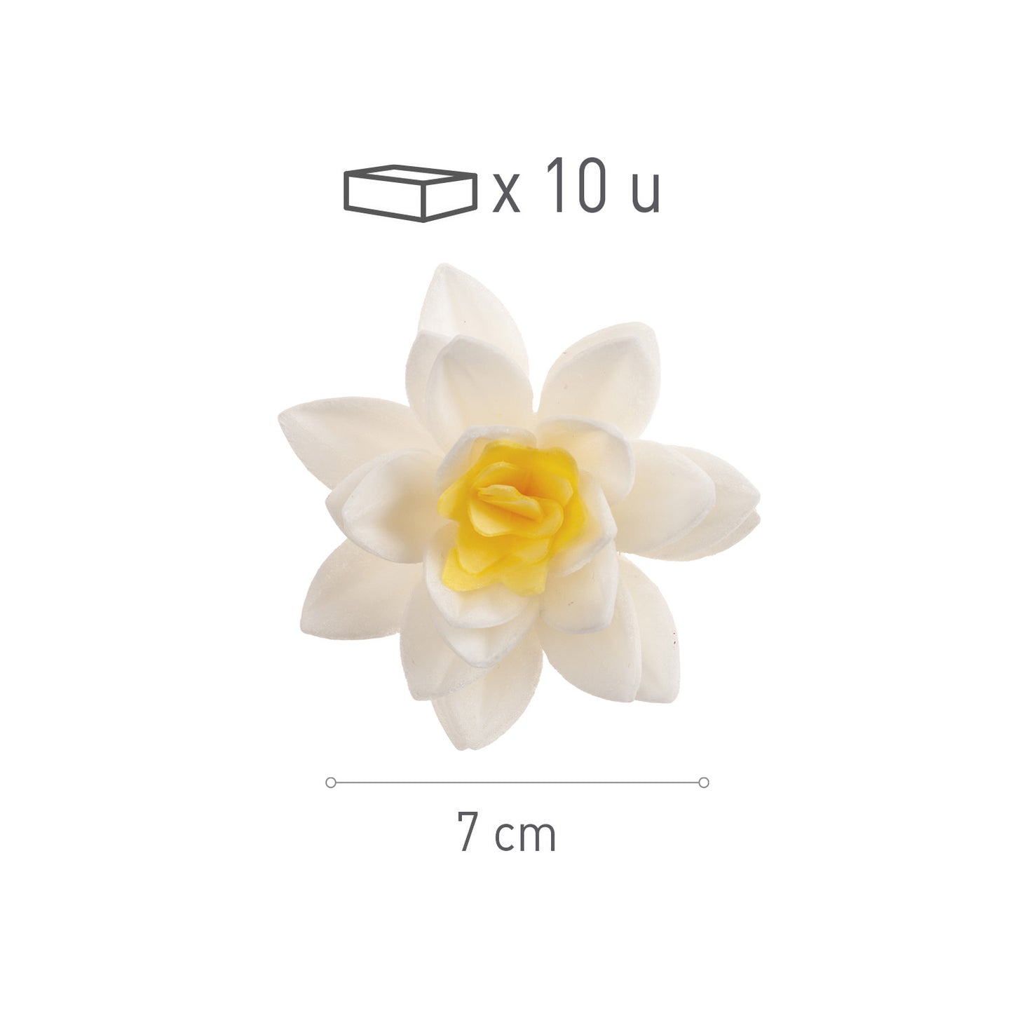 FLOR DE OBLEA BLANCA 7 CM 10 UD