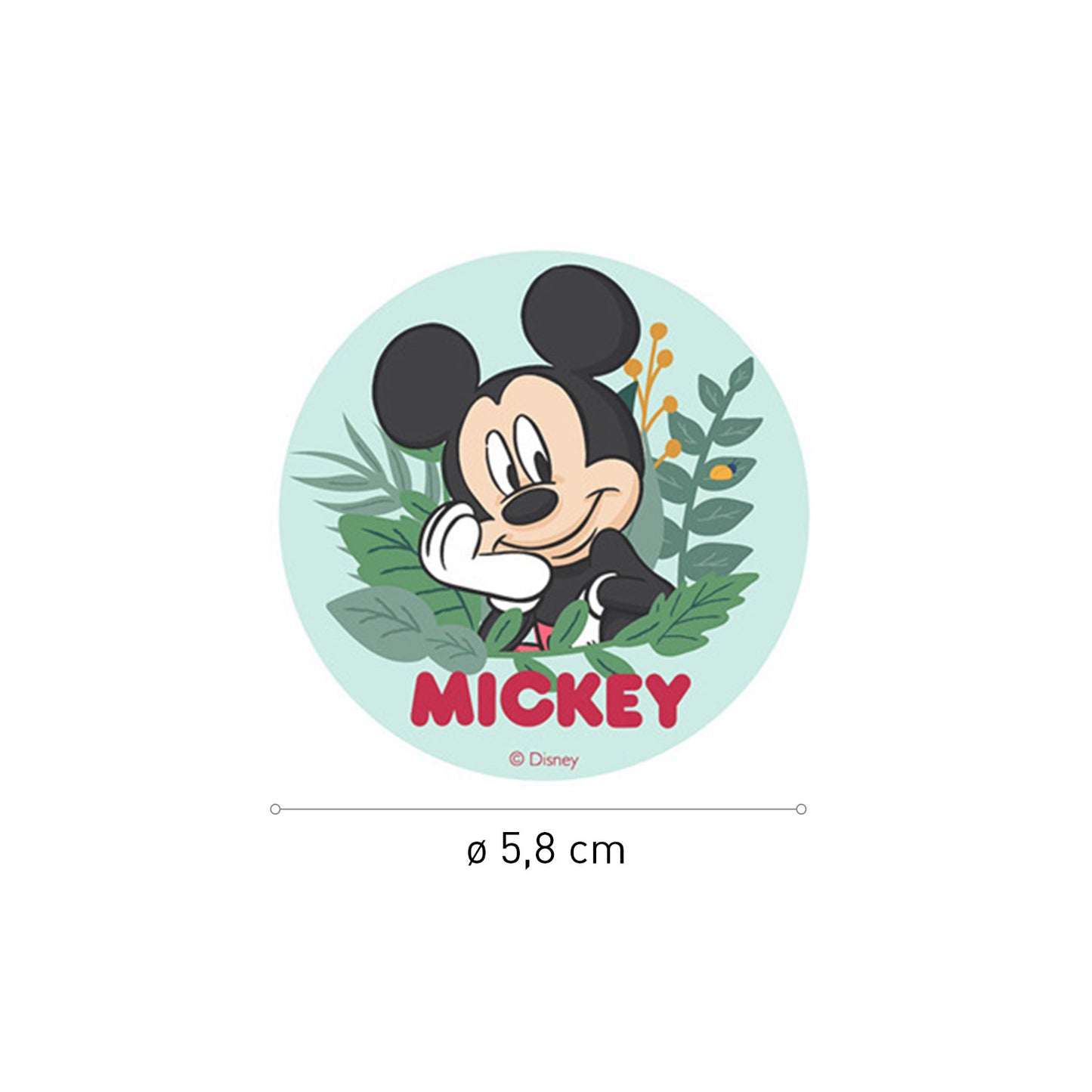 MIX DISCOS COMESTIBLES MICKEY & MINNIE - 6 UNIDADES