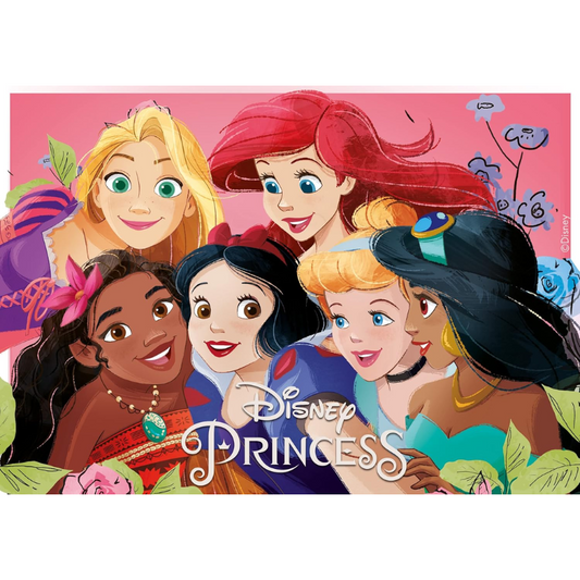 OBLEA PARA TARTAS DE PRINCESAS RECTANGULAR DE 15X21CM