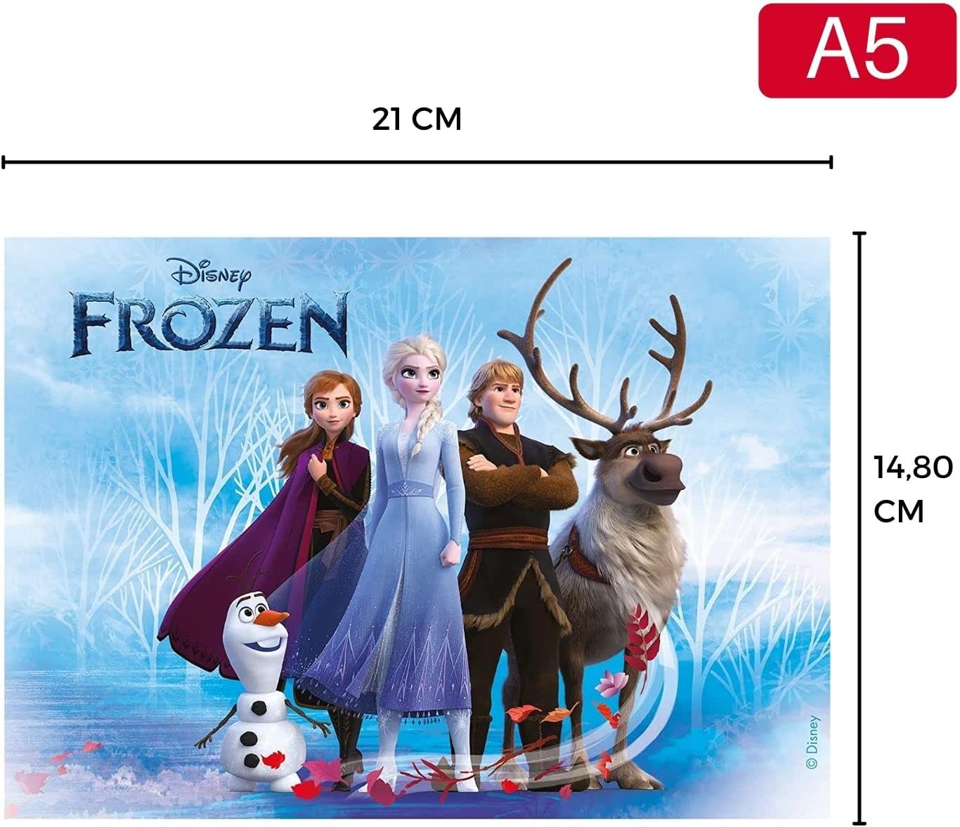 OBLEA PARA TARTAS DE FROZEN RECTANGULAR DE 15X21CM